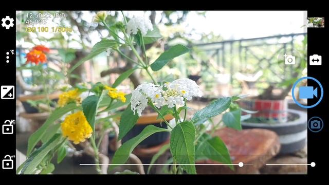 SETTING MODE MANUAL! VIDEO HP LEBIH PRO | Tutorial Setting dan Penggunaan Open Camera untuk Video смотреть онлайн