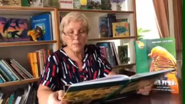 К 20-летию парка "Роев ручей" смотреть онлайн