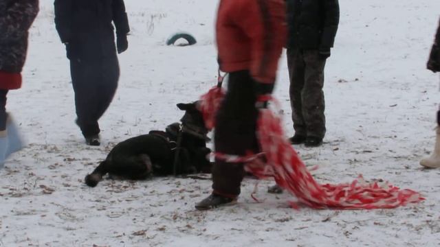 2015г 11 14 кусачка 345 смотреть онлайн