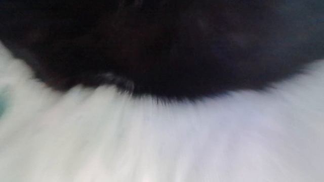 Кактя лежит клёва смотреть онлайн