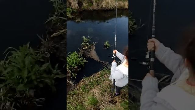 Племянница первый раз ловит рыбу ) часть 1 смотреть онлайн