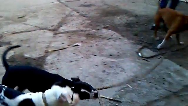 6 метров радости для стаффов! видео-3 смотреть онлайн