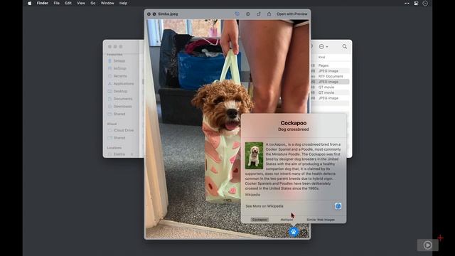 SCOM1226 - Tip - Quick Look on macOS - Preview смотреть онлайн