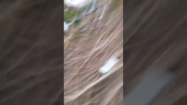 обзор на нашу секретную базу смотреть онлайн