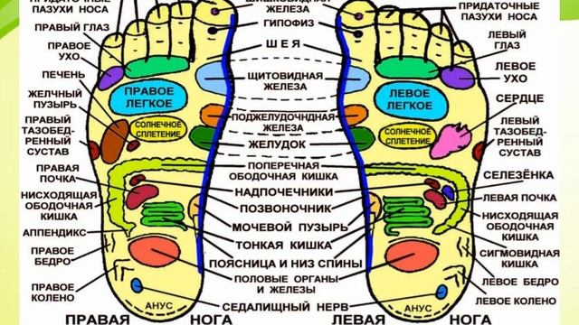 Видеоэкскурс «Вперёд по дороге Здоровья!» смотреть онлайн