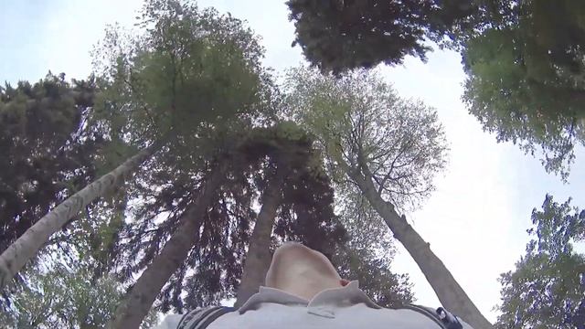 Хаски Парк смотреть онлайн