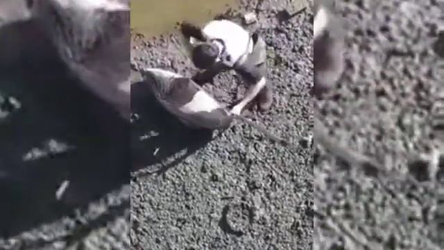 Без удочки 🎣 смотреть онлайн
