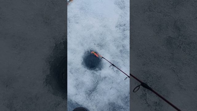 Порыбалили морячков на квх смотреть онлайн