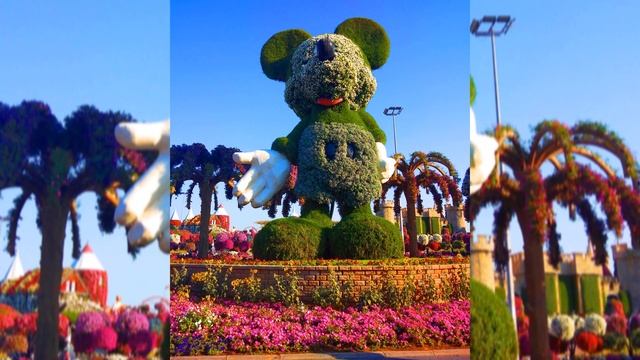 Miracle Garden Dubai 2021 смотреть онлайн