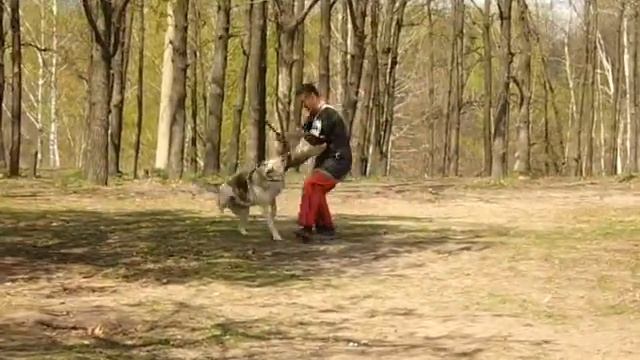 кусачка Цунами смотреть онлайн