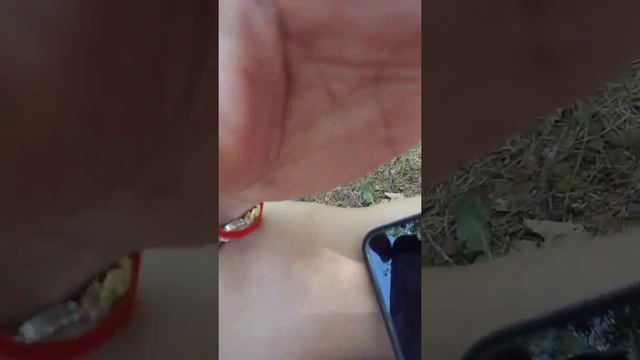 Chan vanna(7) смотреть онлайн