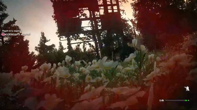 Far Cry New Dawn, Освобождение поста без патронов , ТРЕШ , смотреть ДАКАНЦА. смотреть онлайн