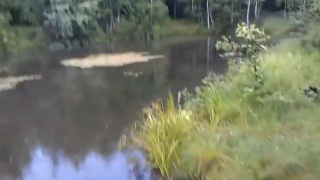 На рыбалке с Серегой 1