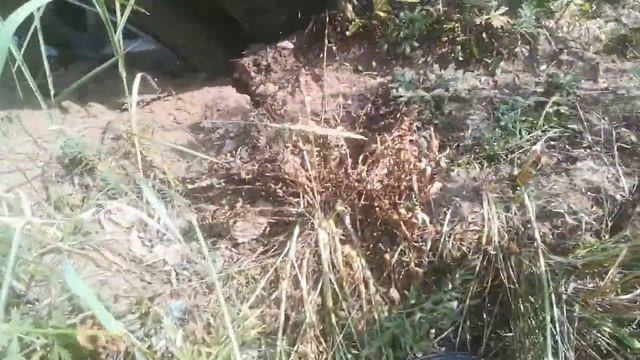 Сложности на металокоме, домкрат сломался, пришлось обкапывать смотреть онлайн