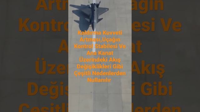 Kızıl Elma Üzerinde Ana Kanat Önündeki Küçük Kanat Amacı . kaynaklar açıklamalar kısmında смотреть онлайн