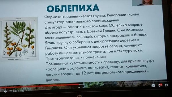 Растительные адаптогены.