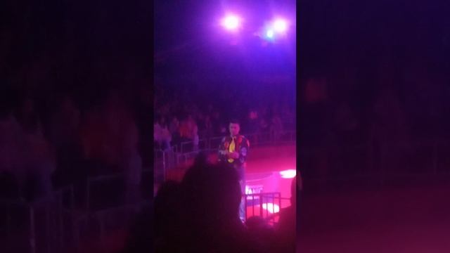 Титаник в цирке белиссимо смотреть онлайн