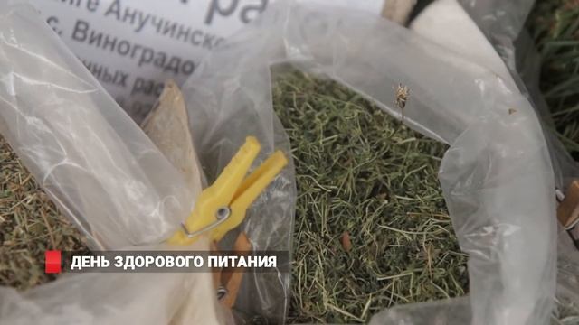 Приморские продукты для здоровья и красоты смотреть онлайн