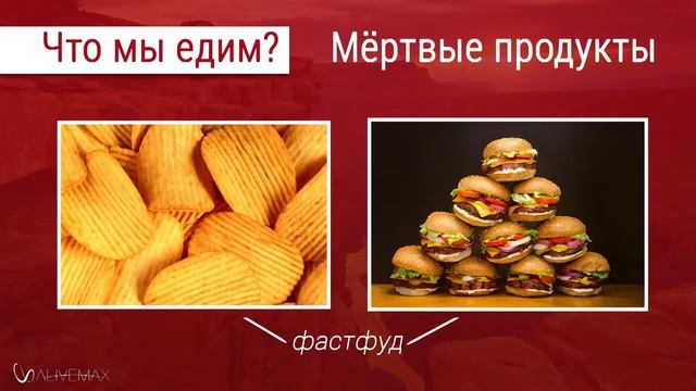 Для долгой активной жизни! Живые спреи AliveMax!