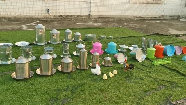Chicken Feeder And Drinker Professional High Quality Manufacturer