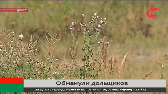 В Нефтеюганске расследуют махинации строительной компании смотреть онлайн
