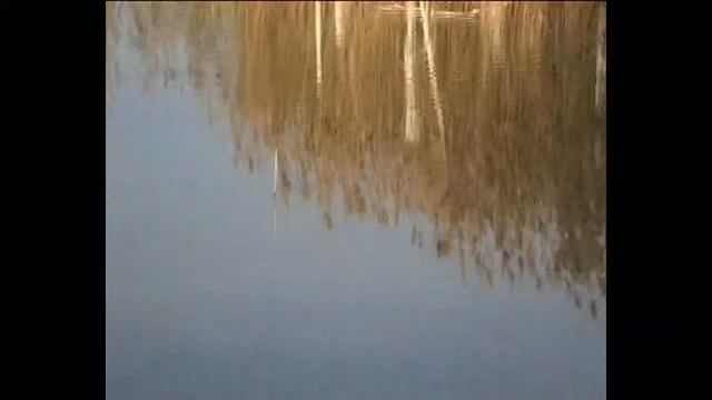 ловля окуня смотреть онлайн
