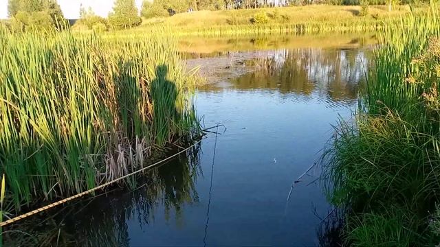 Магнитная рыбалка в деревне часть 1