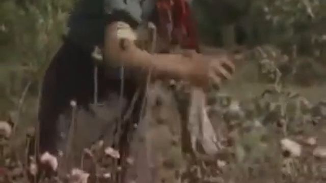 Кривой Рог  СССР так мы жили