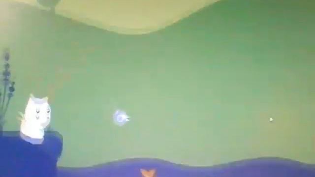 котенок ловит рыбку!!!!мяу