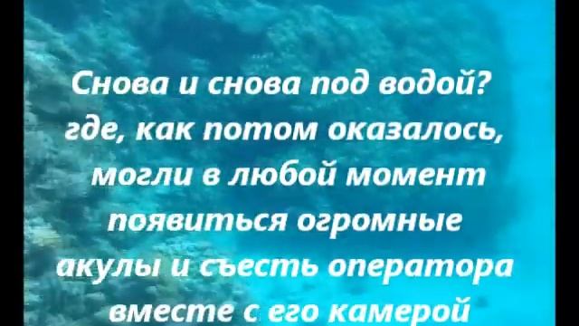 Египет 2010 г. Экскурсия на яхте М. Бобров смотреть онлайн