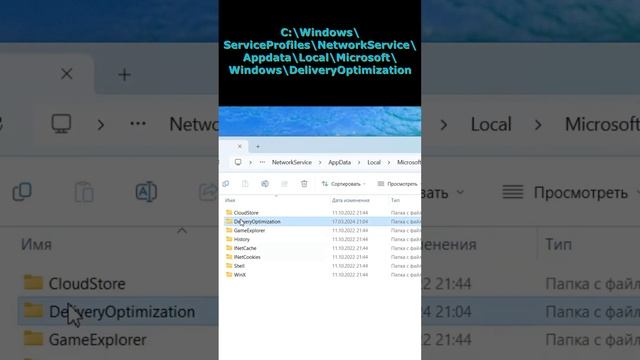 Как очистить файлы оптимизации доставки Windows 10, 11 #пкбезпроблем смотреть онлайн