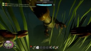 Grounded ➤ Гайд: Как найти чипы BURG.L. Затонувшее сокровище