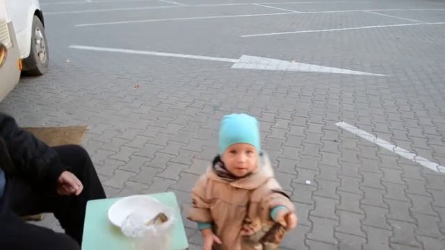 ОТДЫХ НА АВТОДОМЕ ЗЕЛЕНОГРАДСК 2 смотреть онлайн