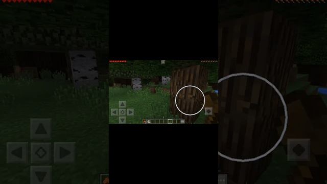 мой первый дом