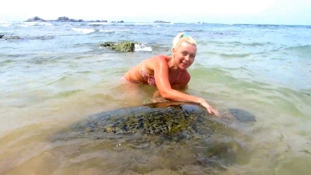 Зайчуша кормит черепаху смотреть онлайн