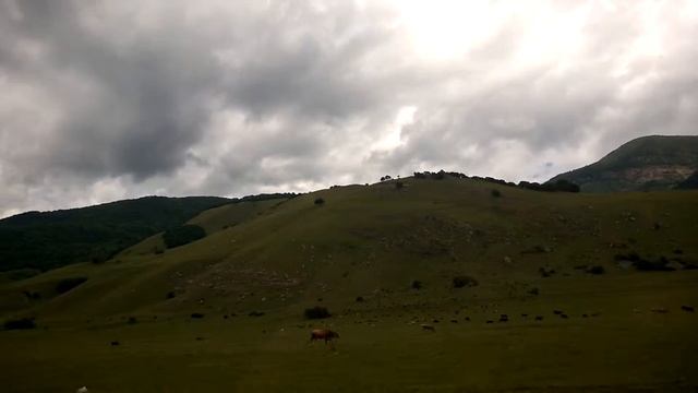 WP 20140709 025 смотреть онлайн