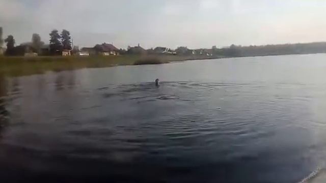 Жара и лодка с мотором смотреть онлайн