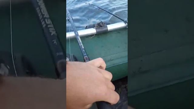 Рыбалка . Ловля сома на квок смотреть онлайн