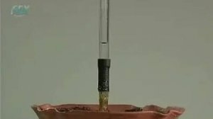 Корень. Обнаружение корневого давления