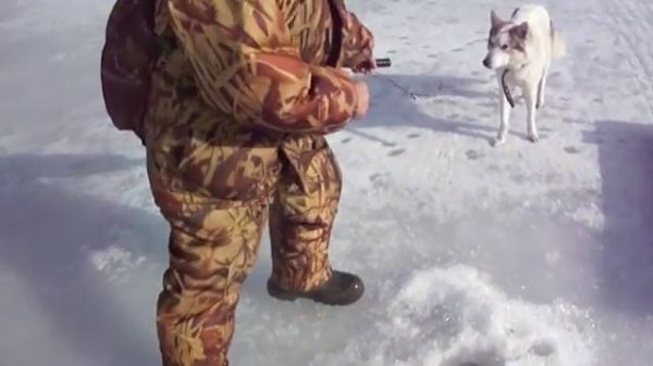 За щукой 18 03 16г