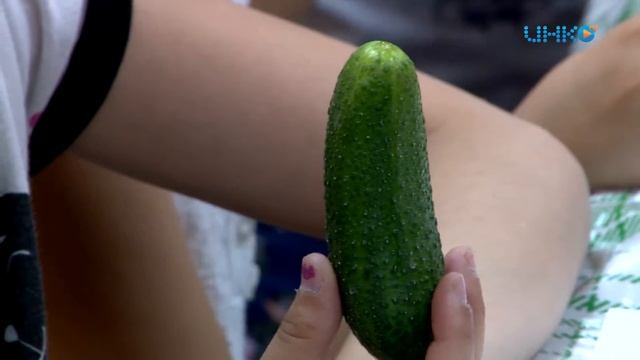 Музей огурца в Луховицах