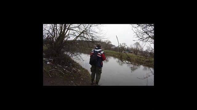 Хитрая рыба смотреть онлайн