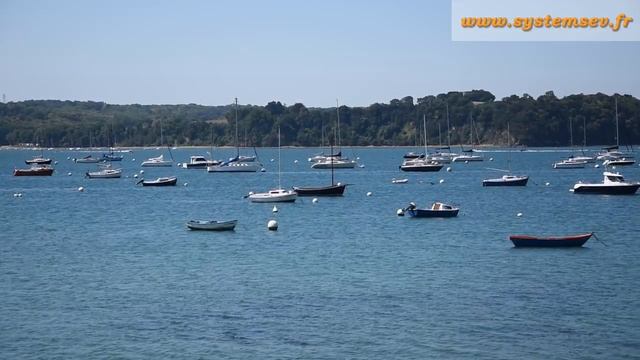 SystemSev – французский язык, индивидуальное обучение в Таллинне. смотреть онлайн