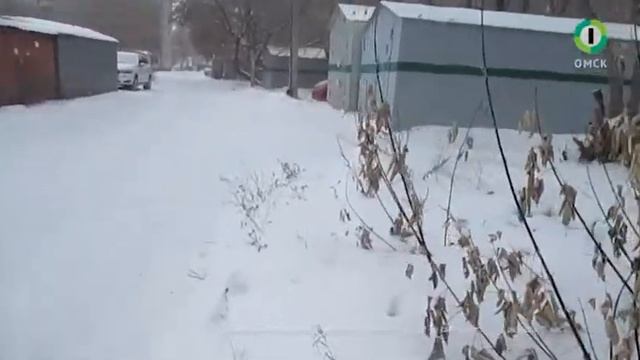 Народный репортер 21.11.16 смотреть онлайн