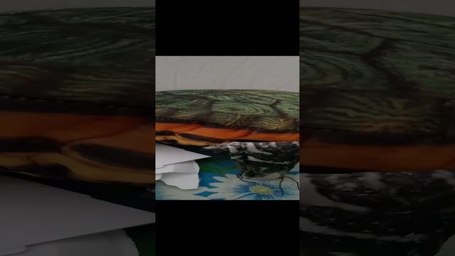 черепаха так рассердился когда его по ж*** дали!