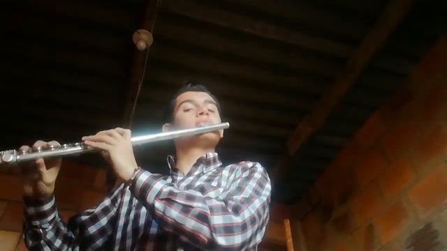 Habanera From Carmen- Georges Bizet - Flauta Traversa