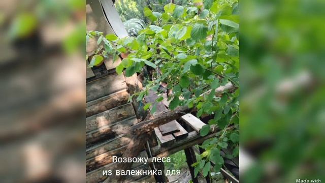 Наш Мир Лесная баня смотреть онлайн