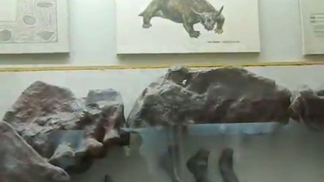 Киев,музей природоведения (5) 28.02.2016 смотреть онлайн