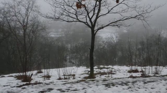 03 02 2018 Гадючья балка. смотреть онлайн