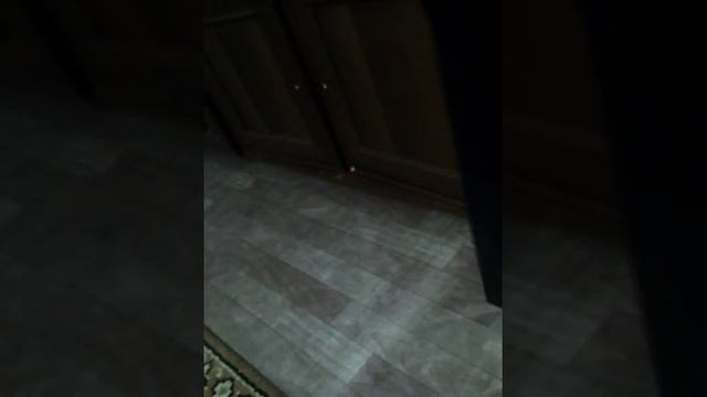 Злюкин-собакин смотреть онлайн